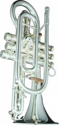 Корнет Bb CarolBrass CCR-6882T-GSS-Bb-S