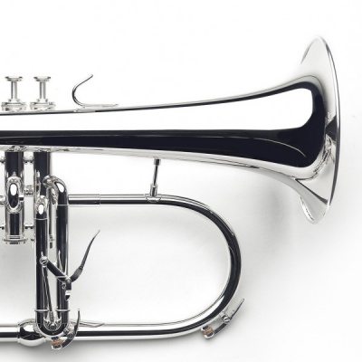Флюгельгорн Van Laar Flugelhorn B1