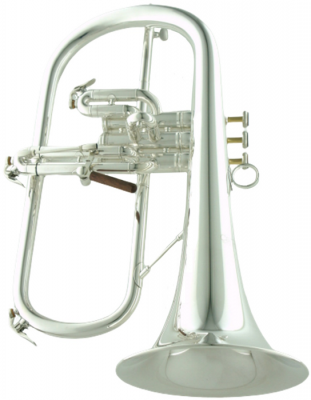 Флюгельгорн CarolBrass CFL-6200-GSS-Bb-S