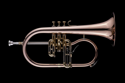 Флюгельгорн Schagerl Flugelhorn "JAMES MORRISON"