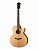 S27-GT Электро-акустическая гитара, с вырезом, с чехлом, глянец, Parkwood