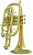Корнет Bb CarolBrass CCR-6880-GLS-Bb-L