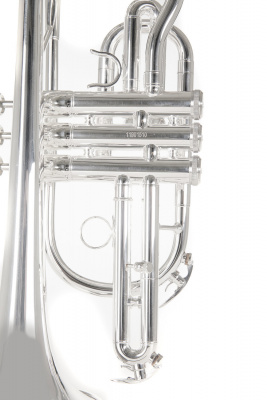 ROY BENSON CR-202S корнет