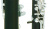 Кларнет Eb Patricola PT.CL.1S Special Grenadilla Кларнет Eb Patricola PT.CL.1S Special Grenadilla