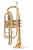 ROY BENSON CR-202 корнет