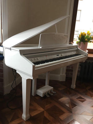 Grand-120-WHITE Цифровой рояль, с автоаккомпанементом, белый (2 коробки), Orla