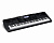 WK7600 Синтезатор 76 клавиш, Casio