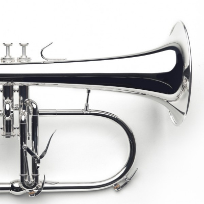 Флюгельгорн Van Laar Flugelhorn B6