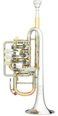 Роторная труба-пикколо Bb/A Scherzer JS8111G-2-0D