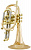 Корнет C CarolBrass CCR-6880-GLS-C-L