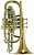 Корнет Bb CarolBrass CCR-6882T-GSS-Bb-L