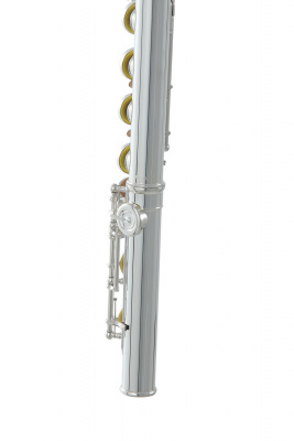 ROY BENSON FL-602E флейта (Ми-механика)