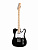 HEG350BK Электрогитара Telecaster SS Homage
