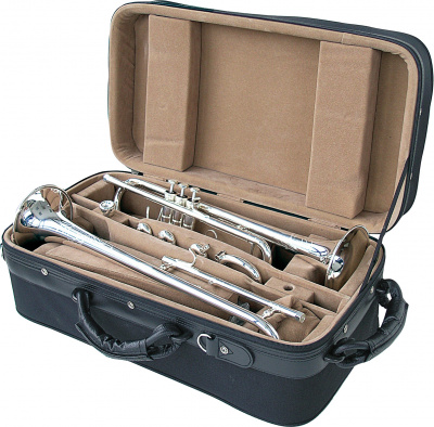 Труба Bb Arnolds&Sons ATR - 5600GS -Terra- Bb/C