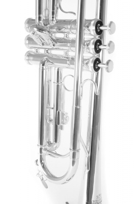 ROY BENSON TR-202S Bb труба (цвет серебро)
