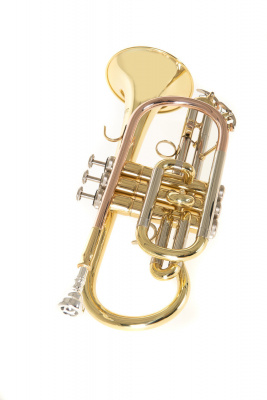 ROY BENSON CR-202 корнет